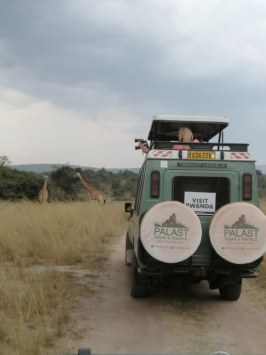 Akagera National Park safari tour in Rwanda